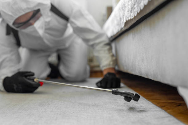 Professional Pest Control technician working in Bloomington, CA