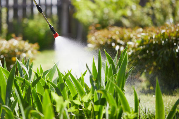 24/7 Emergency Pest Control experts in Bloomington, CA